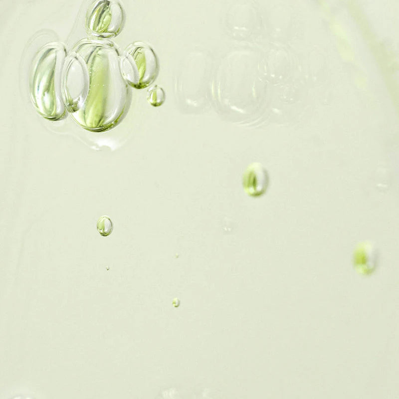 Beauty of Joseon - Calming Serum Green - Tea+Panthenol - Sérum Apaisant