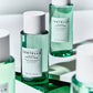 SKIN 1004 - Madagascar Centella Tea-Trica Purifying Toner - Tonique Purifiant